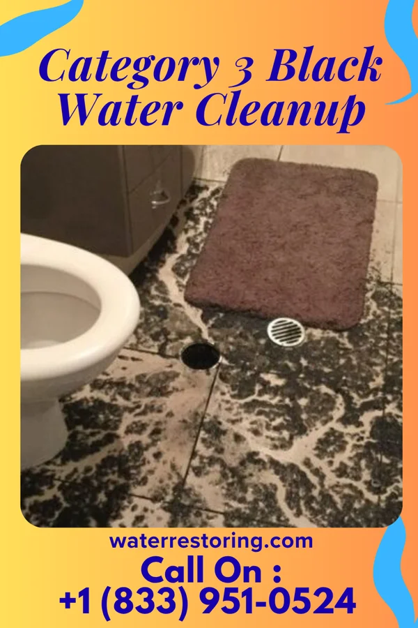 Category 3 Black Water Cleanup in Greensburg, KY