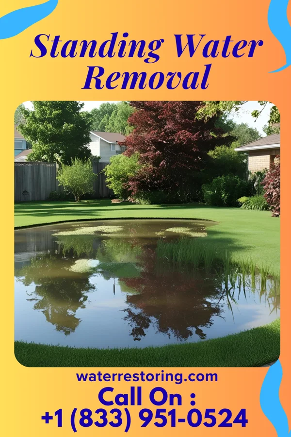 Standing Water Removal in Greensburg, KY